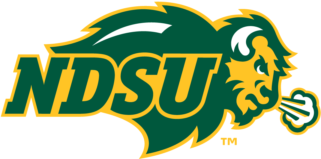 North Dakota State Bison 2012-Pres Primary Logo iron on transfers for clothing